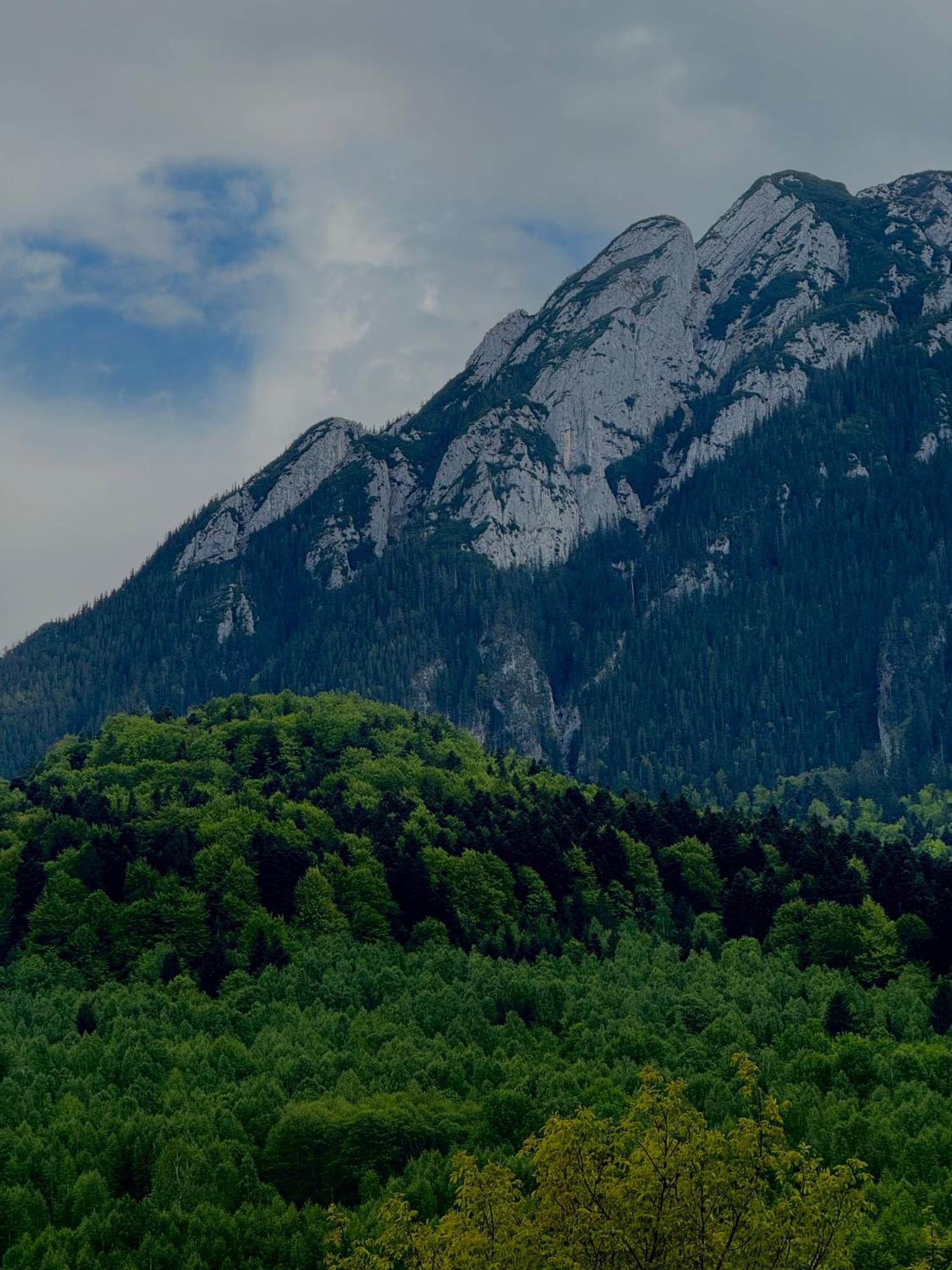 Cabana Zip Зэрнешти Экстерьер фото
